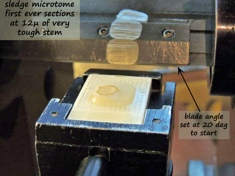 ws_sledge first sections 12micron.jpg