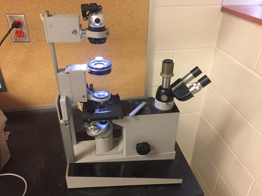 Reichert Inverted Microscope