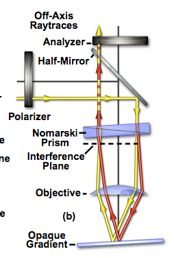 NORMASKI PRISM ANGLE.png