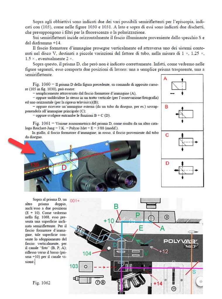 Polyvar-f2020-06-05_14-44-59.jpg