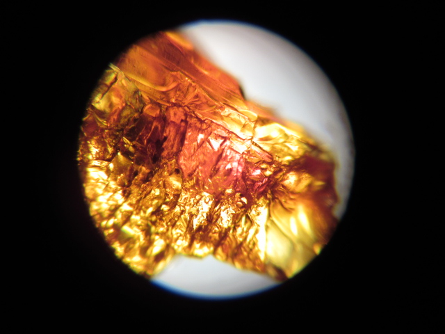 Baltic Amber Chip 011.jpg