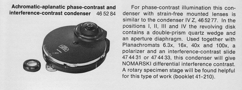 Zeiss optical DIC .jpg