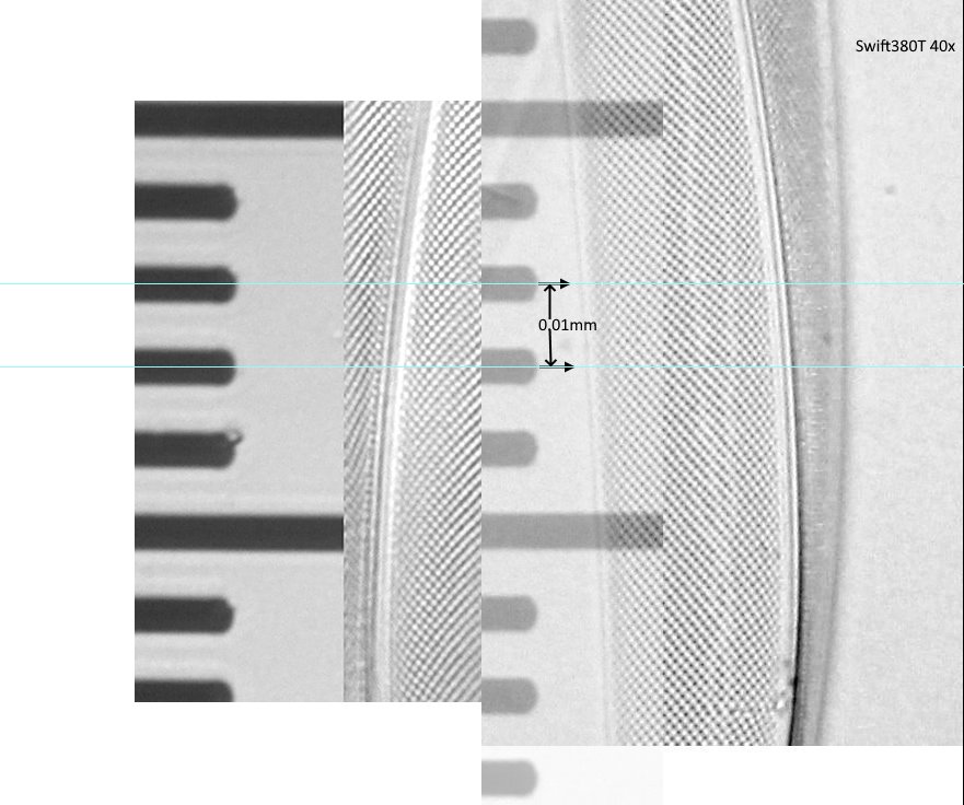 10µm-.jpg