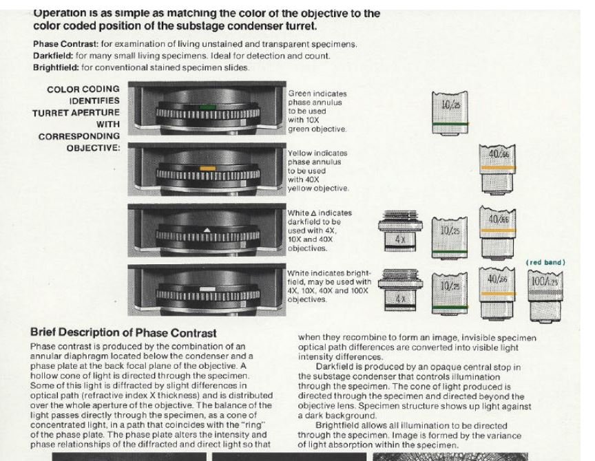 Phase contrast description.JPG