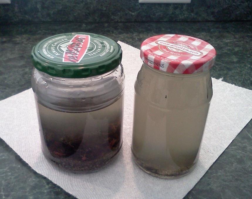 Sample from Spain in Jars.jpg