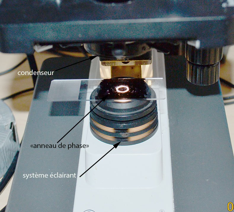 anneau de phase sur éclairage.jpg