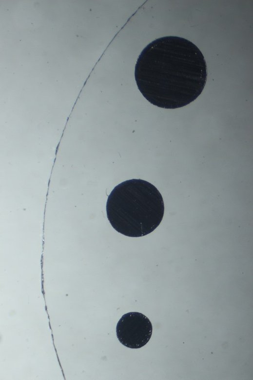 Spacer discs along coverslip.jpg