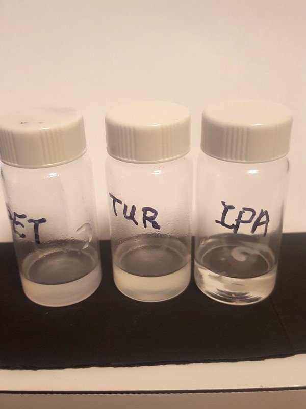 Petroleum jelly in solvents after 12h.jpg