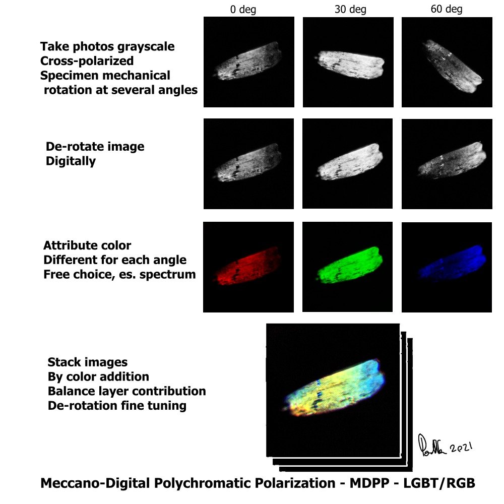 Digital polychromatic polarization