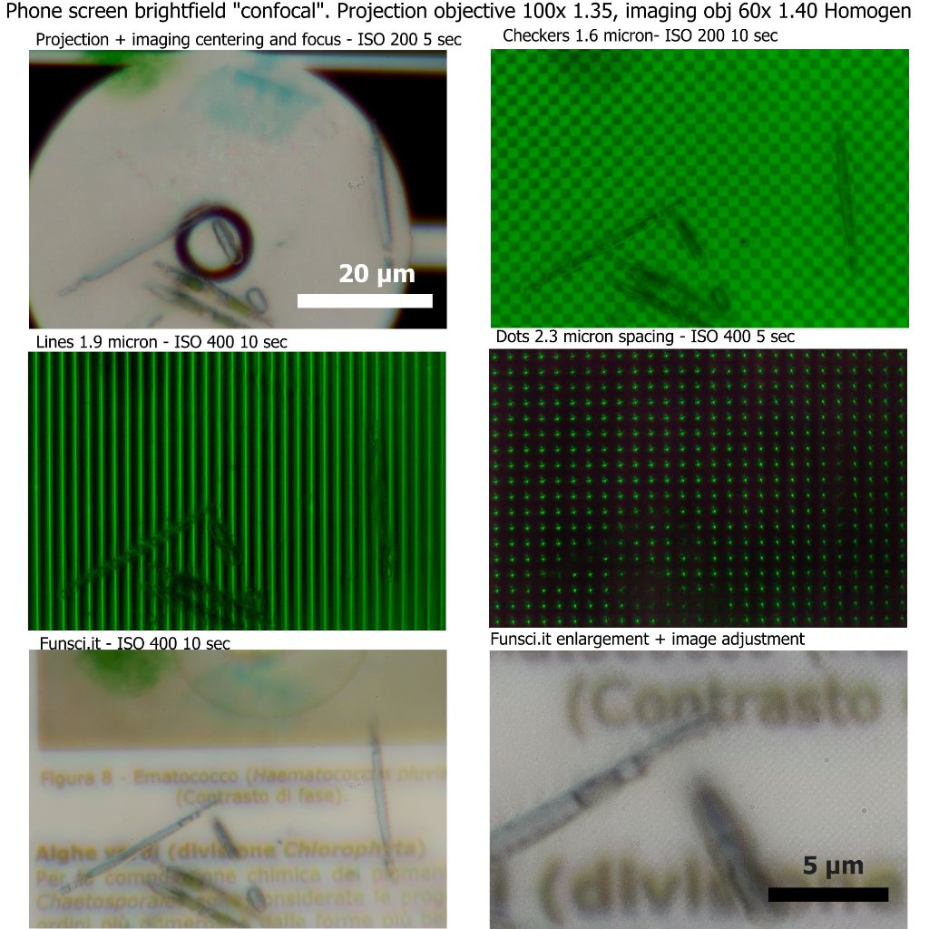 Diatoms transmitted confocal 60x1.40 Oil Phone screen illumination