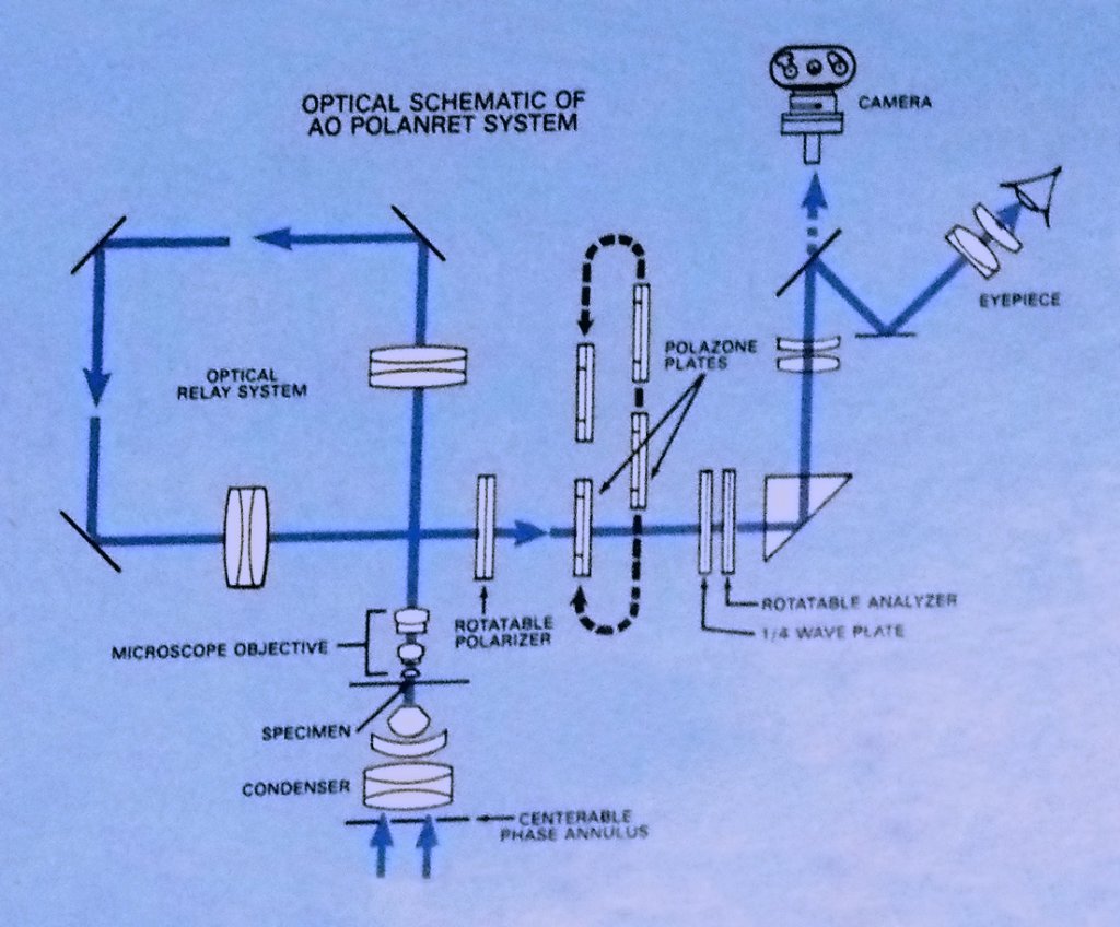 http://bettermicroscopy.blogspot.com/2017/01/ao-polanret-saga-continues.html?m=1