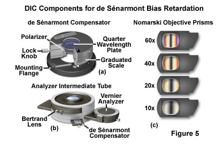 nomarski objective prisms.png