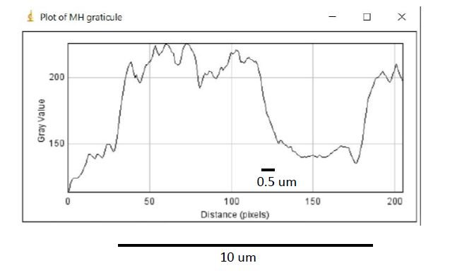 graticule profile.jpg