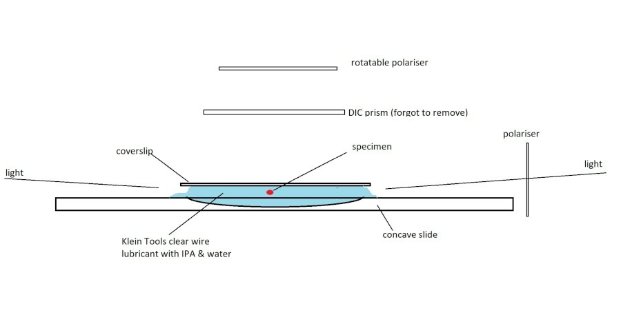 Mite setup.jpg