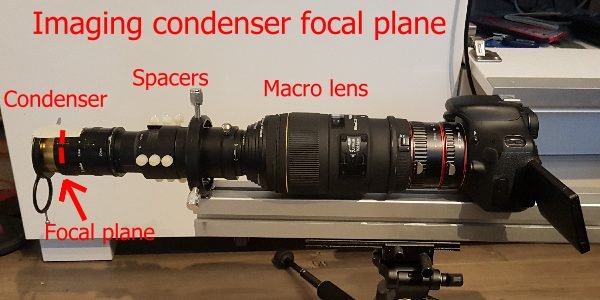 Coondenser focal plane.jpg