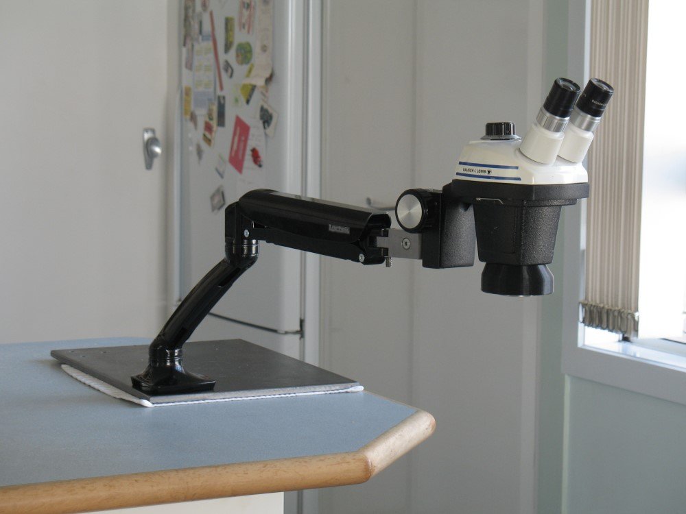 The articulated arm allows the stand to be located out of the way and for the SZ4 to be pointed in any direction.   The stand allows the SZ4 to be swung half way across the room (only a slight exaggeration)