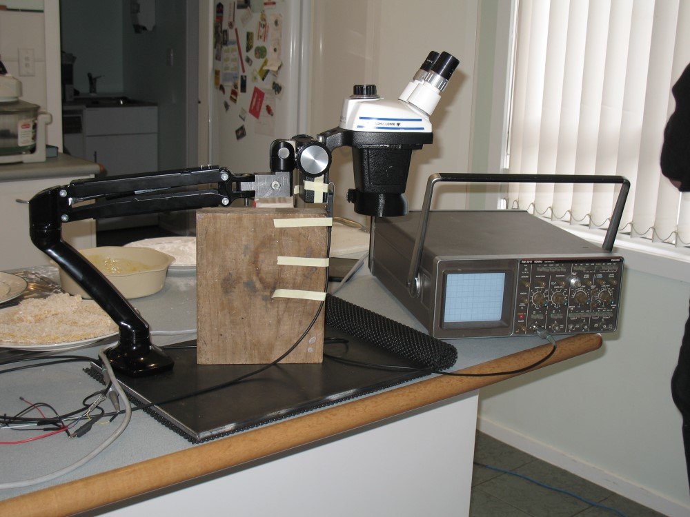 A view of the dynamic frequency measurement setup.  A contactless Gill Blade 25 tranducer, taped to a block of wood, was used to measure the natural frequency of oscillation.