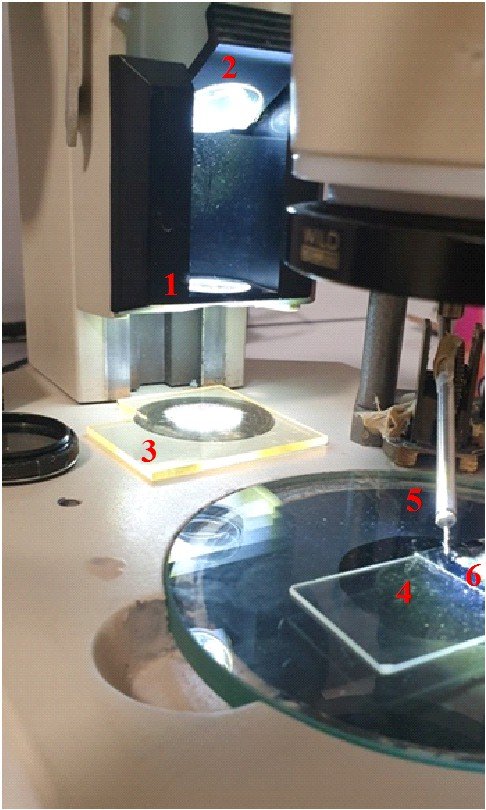 2) Top illumination setup - slanted top beam. 1 Collimator, 2 slanted mirror, 3 420nm long-pass filter, 4 slide, 5 glass fiber holder, 6 diatom pile.jpg