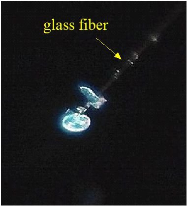 5) Diatom attached to glass fiber tip.jpg