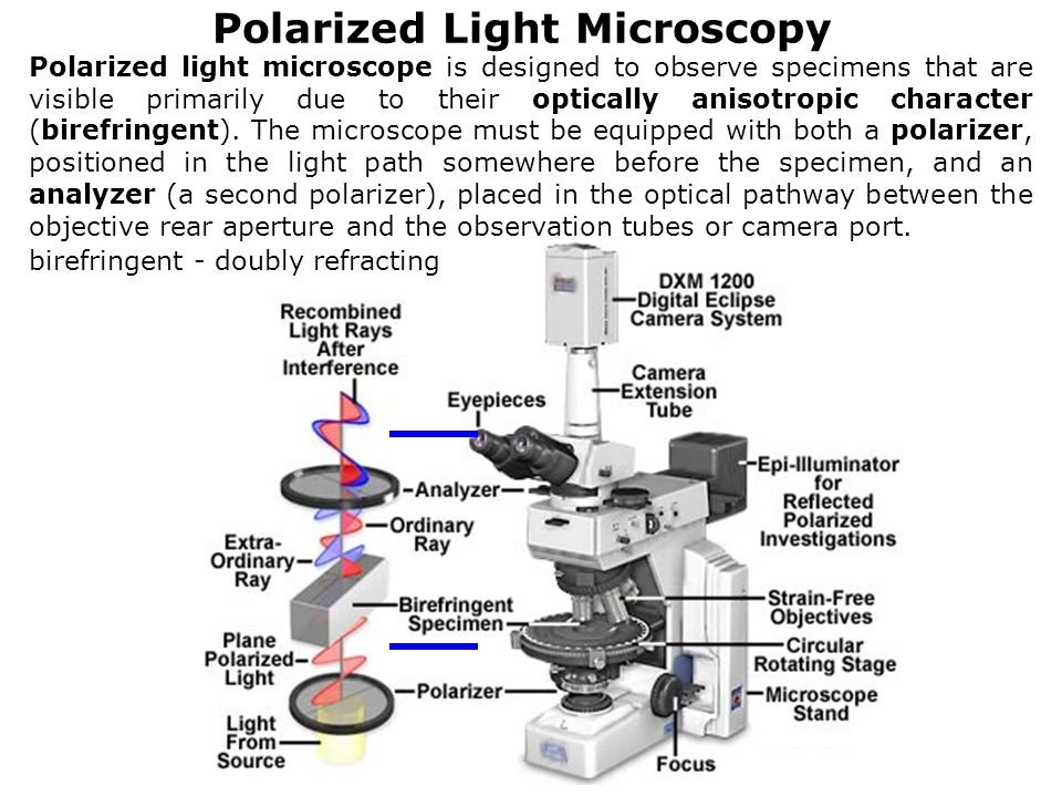 Polarized+Light+Microscopy.jpg