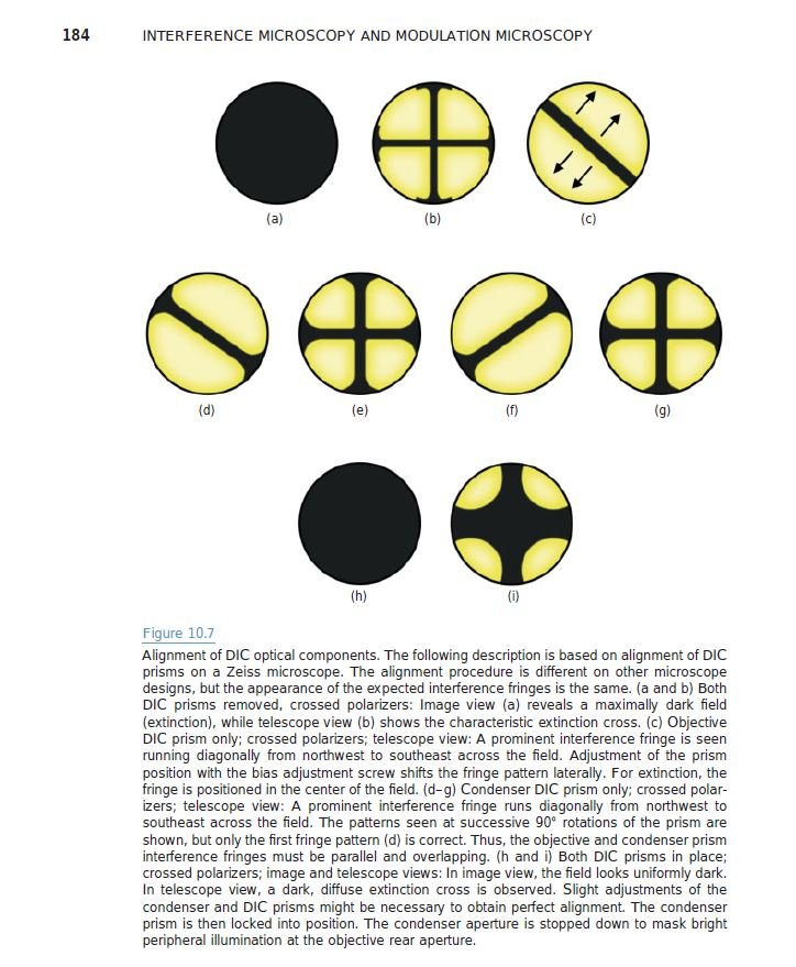 DIC_Alignment_Murphy2012.JPG