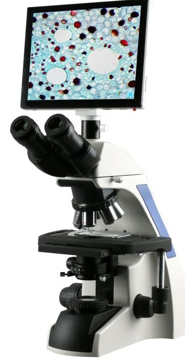 compound-microscope-t720q-tp_1800x.jpg
