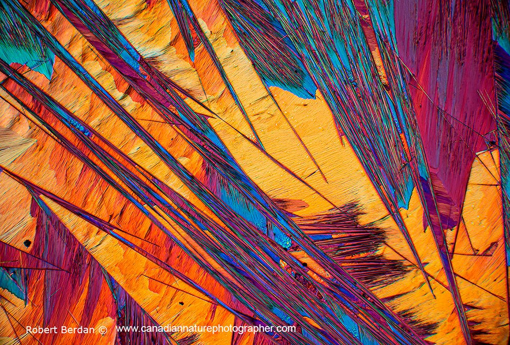 Caffeine crystals 4X