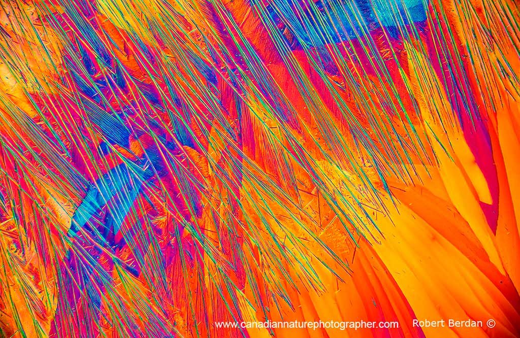 Caffeine crystals 4X