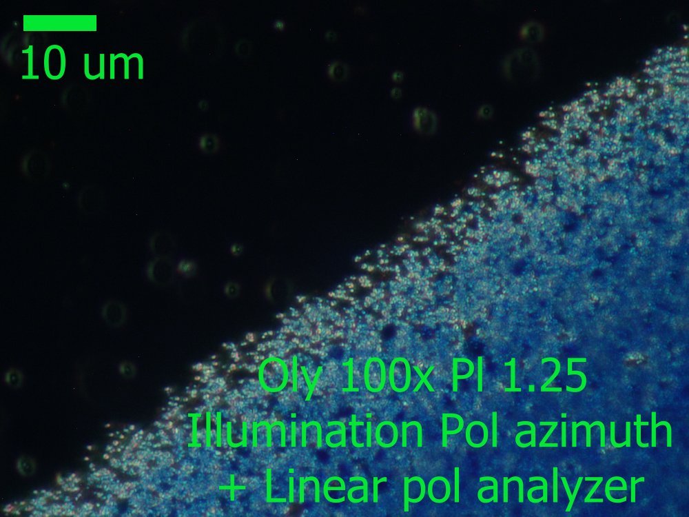 Shoots_FullField_Afocal_Oly_aziumt_analyzer.jpg