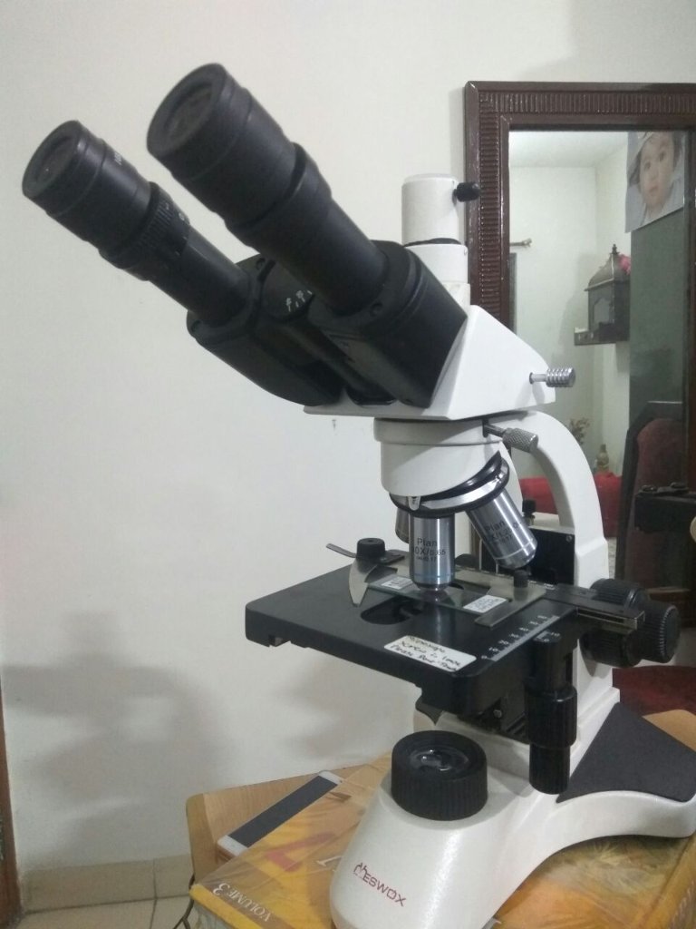 My microscope