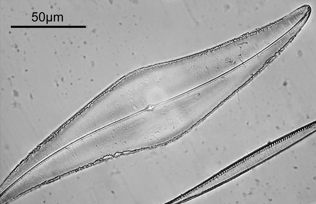 2022-05-05-15.51.48 ZS Pmax retouched mod lab.jpg