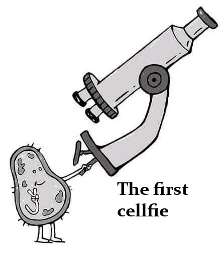 cellfie.jpg