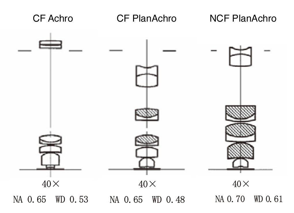 CF_achro_40x copy.jpg