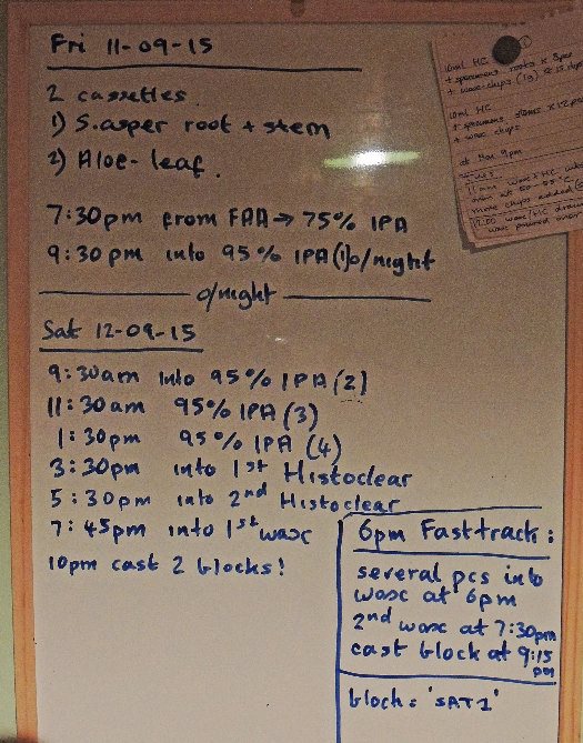 ws_700x525_tissue_protocol_12_sept.jpg