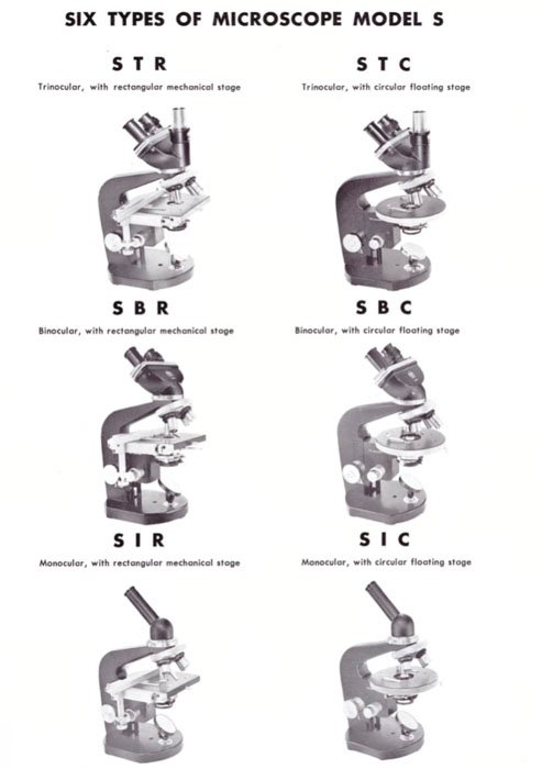 modelS_types_1.jpg