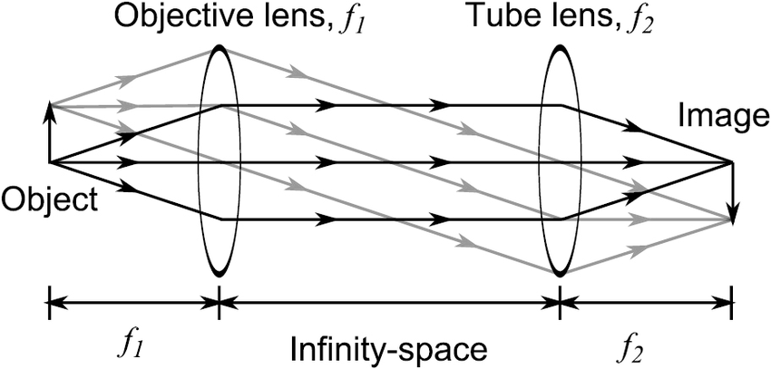 Basic-schematic-of-an-infinity-corrected-optical-system.png
