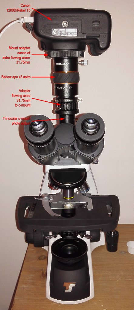 confi_microscope_APN02_fullANG.jpg