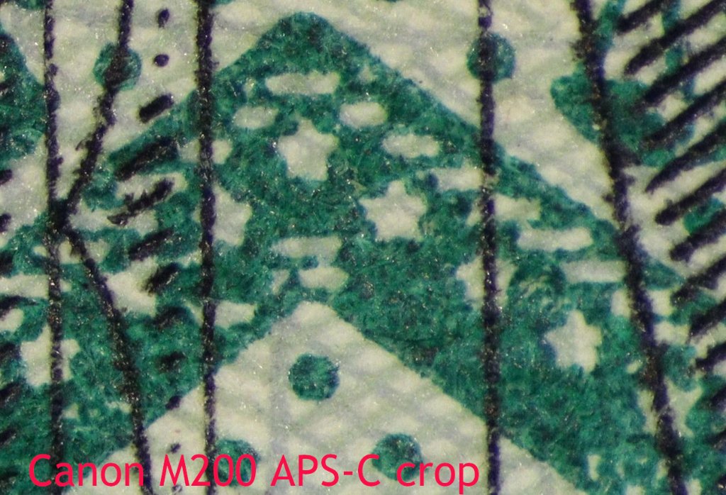 EOS M200_1682 crop.jpg