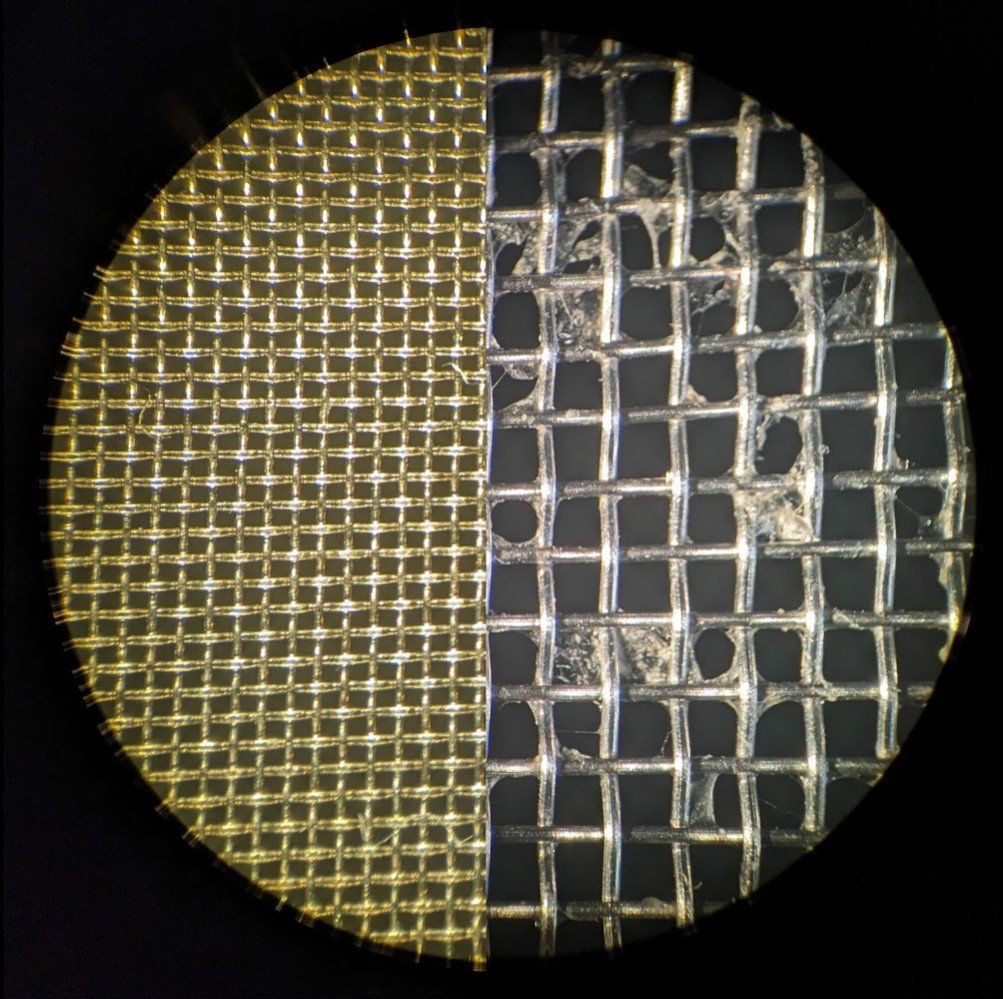The 150 micron screen and 450 micron screen compared. The larger screen does a pretty good job of filtering out larger zooplankton like copepods and larvae. This is actually kind of useful when preparing a slide.