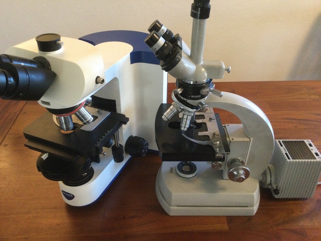 Optika B-800 Phase v. Zeiss WL DIC_Phase.jpg