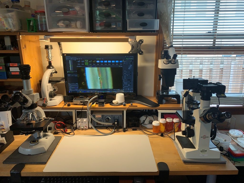 Microscopy Workspace at Home