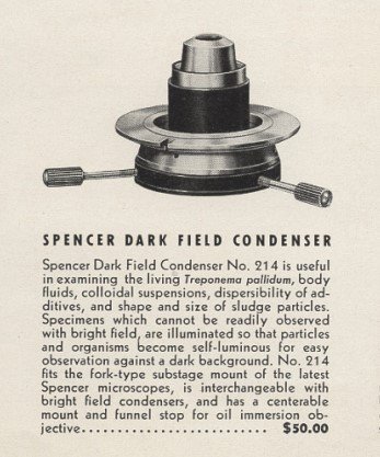 Spencer darkfield long.jpg