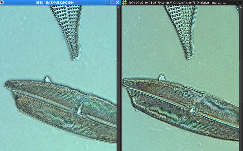 diatom with polarized filter vs dark stop extreme light.jpg