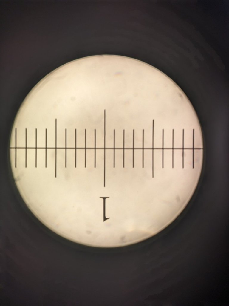 AO cat.# 146 eyepiece 19.5 mm f.o.v. This is an average focus, since curvature of field is pretty high.