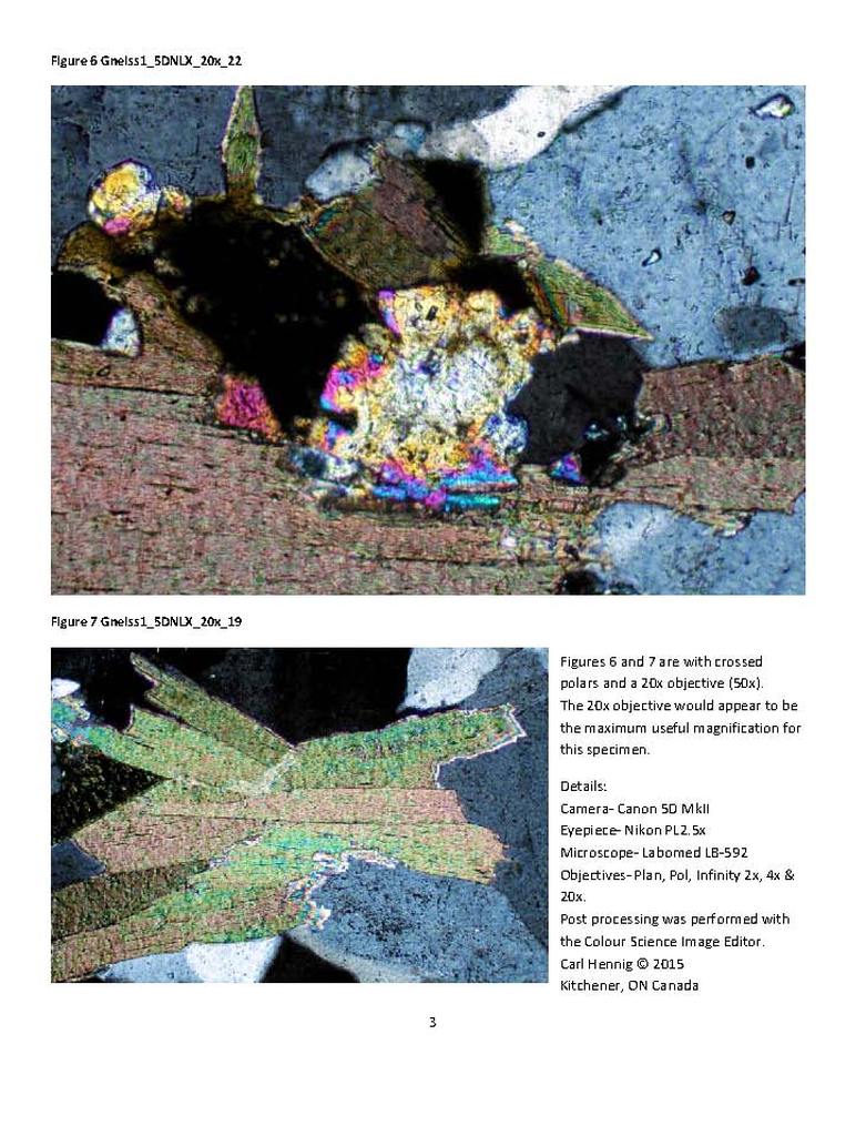 MicrobeMag Gneiss_Page_3.jpg