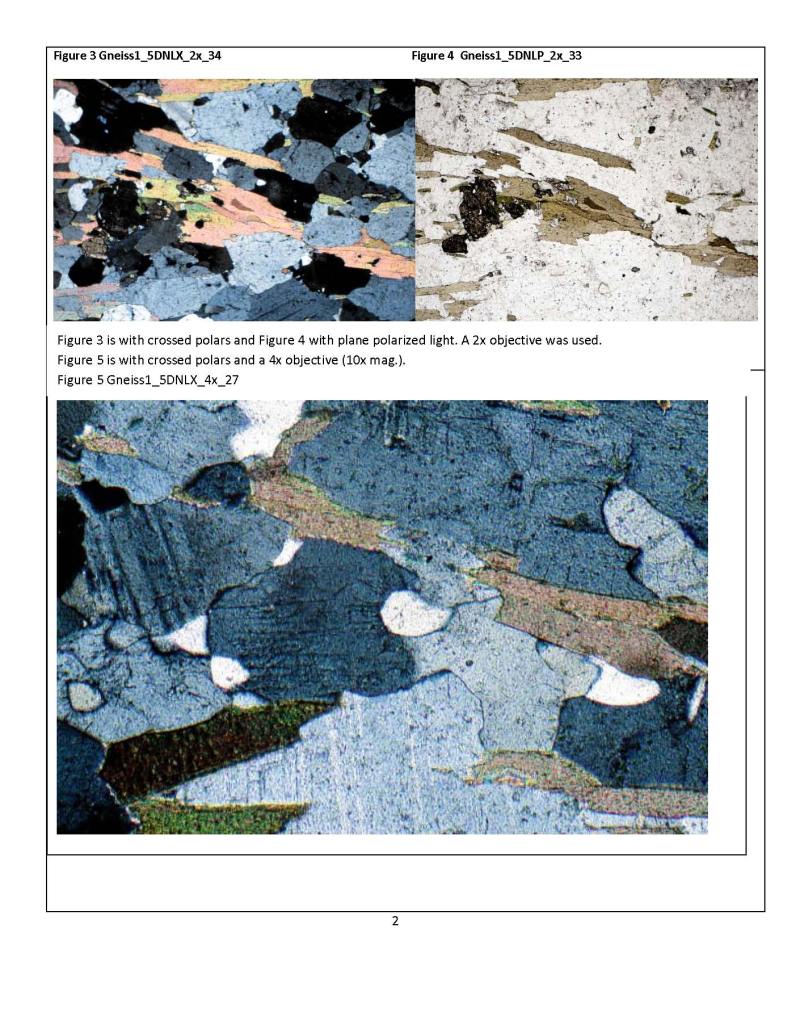 MicrobeMag Gneiss_Page_2.jpg