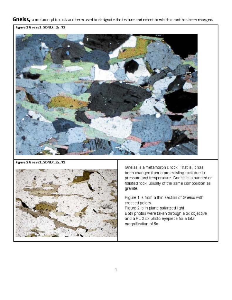 MicrobeMag Gneiss_Page_1.jpg
