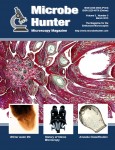 Microbehunter Microscopy Magazine cover