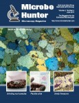 Microbehunter Microscopy Magazine Cover